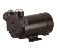 Diesel Transfer Pump 80 l/min 12V
