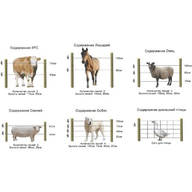 Universal electric shepherd, set for 5 hectares in 1 line