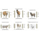Universal electric shepherd, set for 5 hectares in 1 line