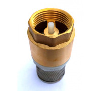Check valve with filter